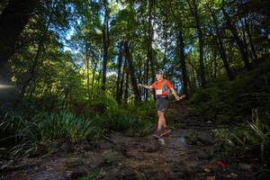 BIB: 
                            <button type="button" onclick="openModal(19230244)" class="btn btn-primary btn-sm float-right btn-popup" data-toggle="modal" data-target=".modal-high-quality">
                        <i class="fas fa-shopping-cart"></i> Add to Cart
                    </button>
                                            <button type="button" onclick="isThisMe(19230244, true)" class="btn btn-success btn-sm float-right btn-popup btn-isme hidden" data-toggle="tooltip" data-placement="bottom" title="นี่คือรูปของคุณใช่ไหม คลิกที่นี่เพื่อเอาเข้าอัลบั้ม">
                        <i class="fas fa-plus"></i> Add to album
                    </button>
                    <button type="button" onclick="isThisMe(19230244, false)" class="btn btn-warning btn-sm float-right btn-popup btn-isnotme hidden">
                        <i class="fas fa-ban"></i> Remove from album
                    </button>